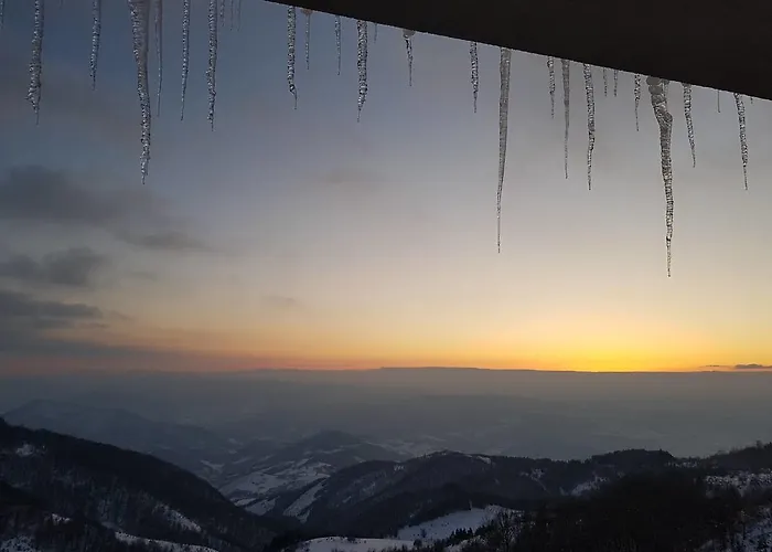 G10 Milmari Daire Kopaonik